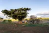 8385 Midland Highway, Tunbridge, Tas 7120-Image