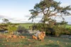 8385 Midland Highway, Tunbridge, Tas 7120-Image
