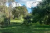 8389 Goulburn Valley Highway, Trawool, Vic 3660-Image