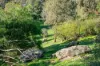 8389 Goulburn Valley Highway, Trawool, Vic 3660-Image
