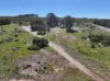 84 Parkfield Drive, Irwin, WA 6525-Image