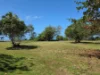 84 Taylor Street, Tully Heads, Qld 4854-Image