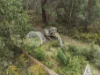 8480 Huon Highway, Southport, Tas 7109-Image