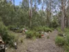 8480 Huon Highway, Southport, Tas 7109-Image