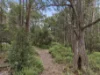 8480 Huon Highway, Southport, Tas 7109-Image
