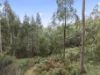 8480 Huon Highway, Southport, Tas 7109-Image
