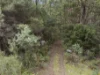 8480 Huon Highway, Southport, Tas 7109-Image
