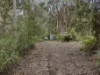 8480 Huon Highway, Southport, Tas 7109-Image