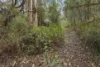 8480 Huon Highway, Southport, Tas 7109-Image