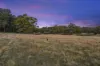 85 Lightwood Drive, Glenlyon, Vic 3461-Image