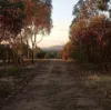 85 Old Dairy Flat Road, Heathcote South, Vic 3523-Image