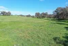 85 Thomsons Road, Young, NSW 2594-Image