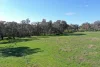 85 Thomsons Road, Young, NSW 2594-Image