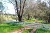 85 Thomsons Road, Young, NSW 2594-Image
