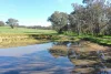 85 Thomsons Road, Young, NSW 2594-Image