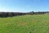 85 Thomsons Road, Young, NSW 2594-Image