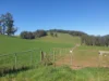 855 Beulah Road, Beulah, Tas 7306-Image