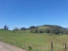 855 Beulah Road, Beulah, Tas 7306-Image