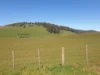 855 Beulah Road, Beulah, Tas 7306-Image