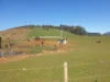 855 Beulah Road, Beulah, Tas 7306-Image