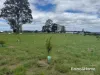 86-88 Premier Drive, Kingaroy, Qld 4610-Image