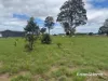 86-88 Premier Drive, Kingaroy, Qld 4610-Image