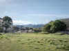 86 Benjamin Terrace, New Norfolk, Tas 7140-Image