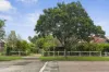 86 Roslyn Street, Ashbury, NSW 2193-Image