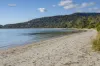 86 Skeggs Avenue, White Beach, Tas 7184-Image