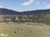 860 Hungry Flats Road, Colebrook, Tas 7027-Image