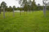 8608 Bruxner Highway, Tabulam, NSW 2469-Image