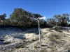 88 Wirrega Road, Jandabup, WA 6077-Image