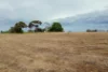 883 Black Top Road, One Tree Hill, SA 5114-Image