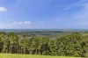 89 Guanaba Road, Tamborine Mountain, Qld 4272-Image
