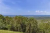 89 Guanaba Road, Tamborine Mountain, Qld 4272-Image