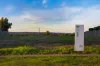 89 Riverslea Boulevard, Traralgon, Vic 3844-Image