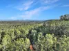 894 Fords Road, Grantham, Qld 4347-Image