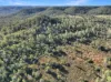 894 Fords Road, Grantham, Qld 4347-Image