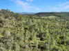 894 Fords Road, Grantham, Qld 4347-Image