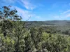 894 Fords Road, Grantham, Qld 4347-Image