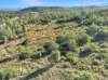 894 Fords Road, Grantham, Qld 4347-Image