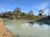 894 Fords Road, Grantham, Qld 4347-Image
