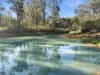 894 Fords Road, Grantham, Qld 4347-Image