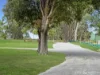 8A Brocklesby Road, Medowie, NSW 2318-Image