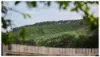 8A High Street, Woolgoolga, NSW 2456-Image