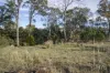 8A Highland Rise, Kings Meadows, Tas 7249-Image