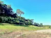 8a Oasis Close, Palm Cove, Qld 4879-Image