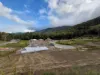 8a Oasis Close, Palm Cove, Qld 4879-Image
