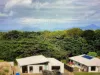 8a Oasis Close, Palm Cove, Qld 4879-Image