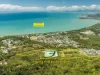 8a Oasis Close, Palm Cove, Qld 4879-Image